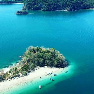 Meet your Posher, Monica